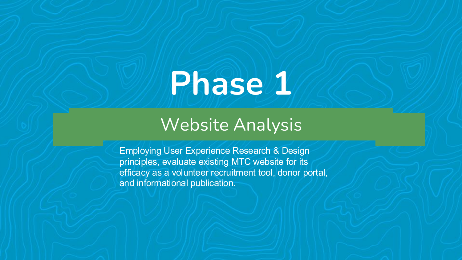 Mentor Tutor Connection heuristic review and redesign roadmap 2